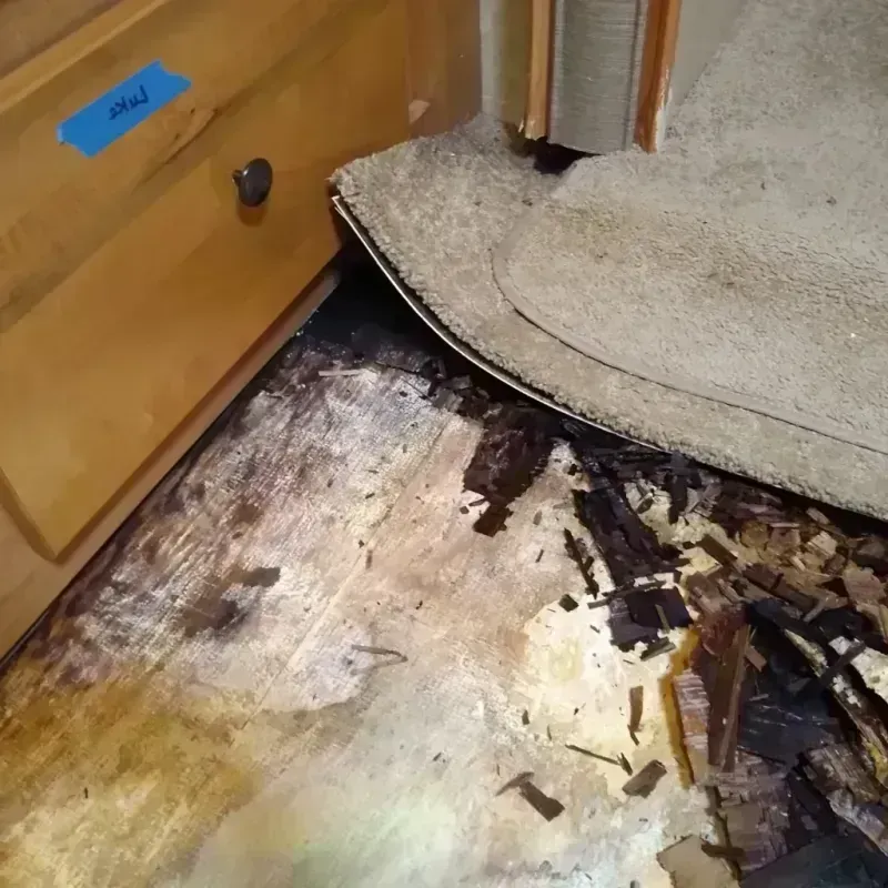 Best Wood Floor Water Damage Service in Davidsonville, MD